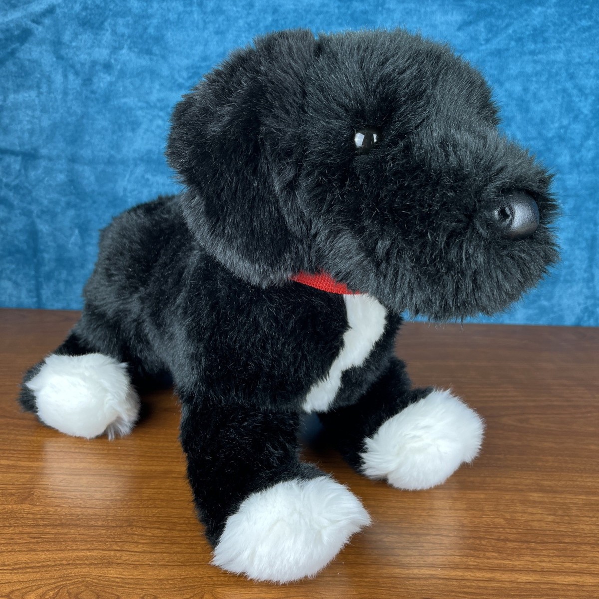 Pit the Massive Dog お値下げ不可 Douglas Olive Rescue Pup 21