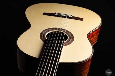 Armin Hanika - New Century Doubletop Custom