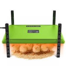 Smart Chick Brooder Heating Plate,12"x16" Adjustable Chicken Coop Heater for ...