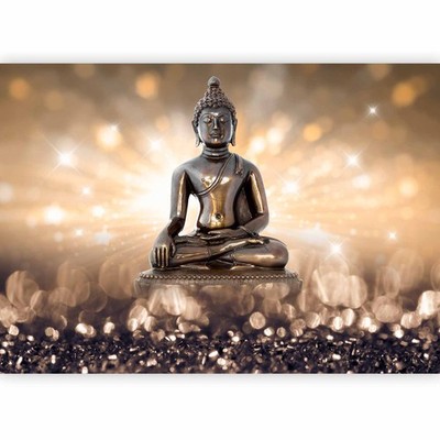 BUDDHA ZEN FENG SHUI Fototapete Vlies Tapete xxl Wandtapete Moderne Wohnzimmer