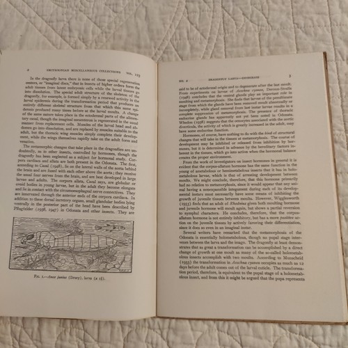 Rare 1954 Dragonfly Larva Entomology Smithsonian Publication 4175 Volume 123 - 第 14/24 張圖片