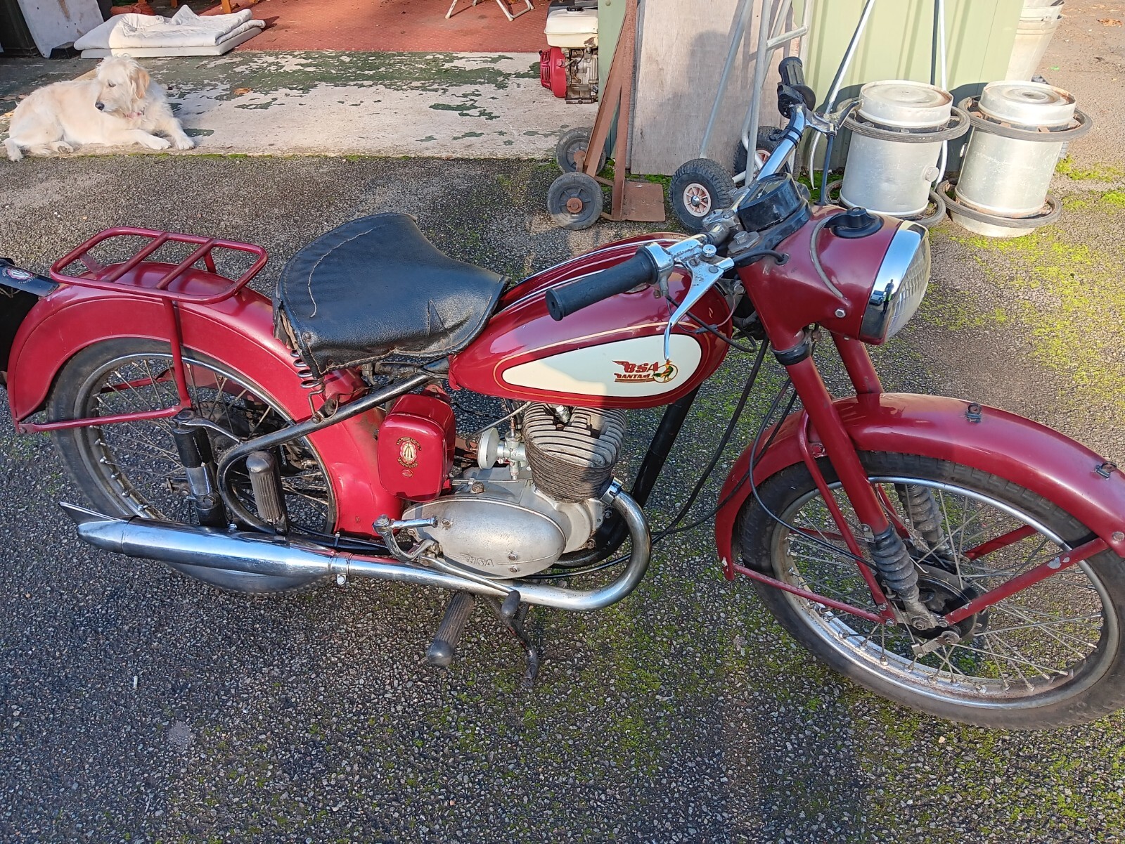 1953 bsa bantam