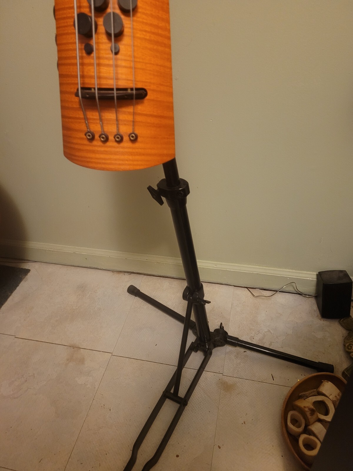 Steinberger Fretted Upright Electric Bass eBay