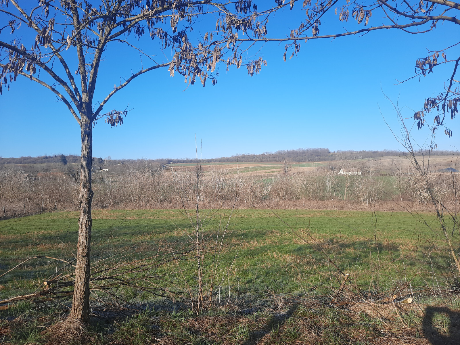 Bild 19 von 19