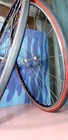 Bild 10 von 24