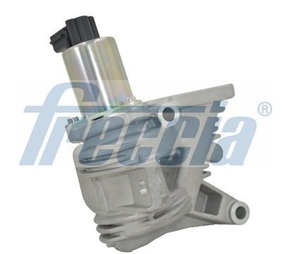 FRECCIA EGR12-117 Egr Valve Fits Renault Laguna MK2 Sport Tourer Megane MK2