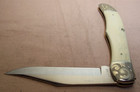 1977~CASE XX STAINLESS~MINT~LTD ED. MOBY DICK SMOOTH WHITE BONE FOLDING HUNTER~ — photo 9