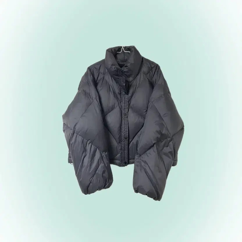 LAP Down Feather Cropped Padding Jacket - Women's… - image 1