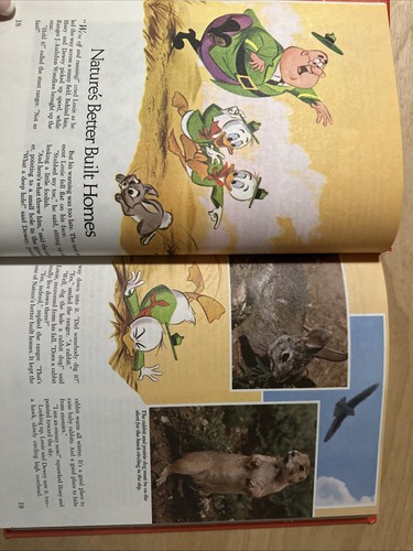 WALT DISNEY PARADE: FUN, FACT, FANTASY, FICTION 4-Volume HC Golden Press 1977 - Picture 21 of 24