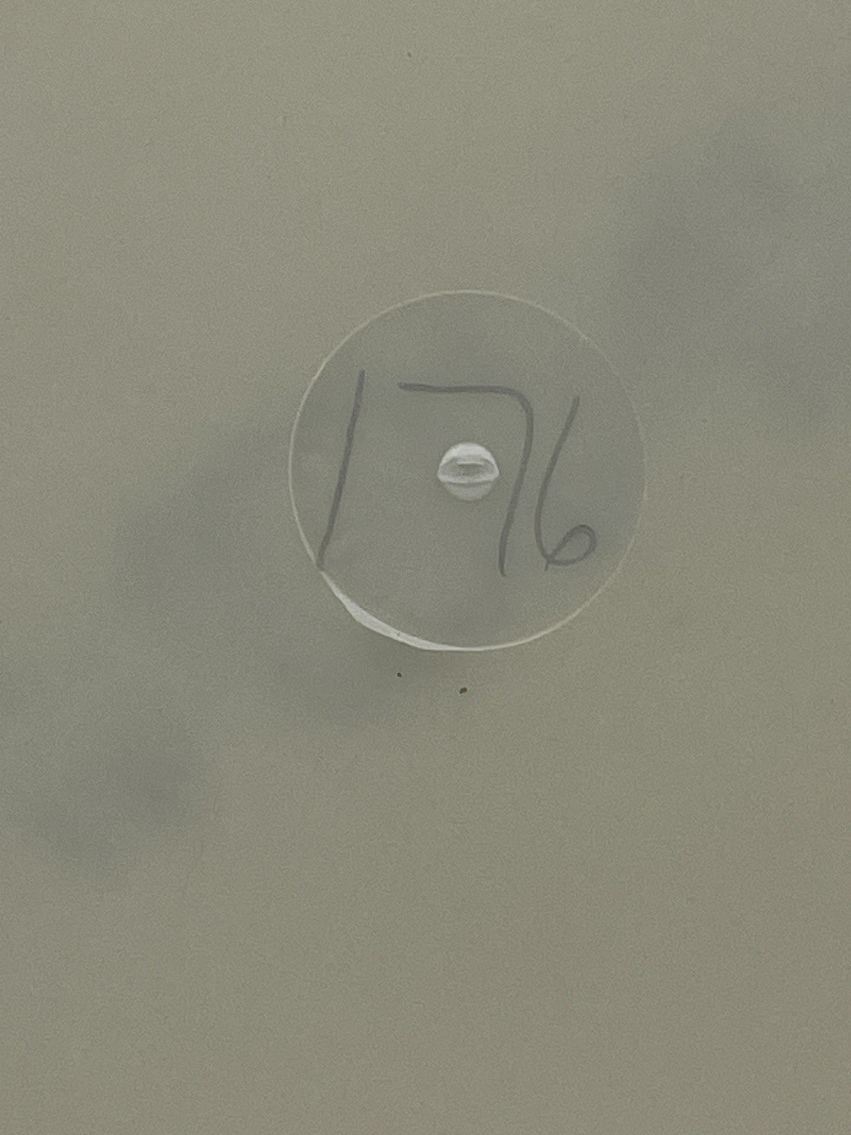 Picture 5 of 6