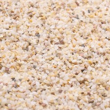 Coarse Sand. Golden Color. 1/8 Inch 10 lbs. for Potting Soil, Succulents, Pot...