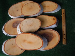 Oval Wood Slice White Birch Tree Disk Wedding Table Decoration
