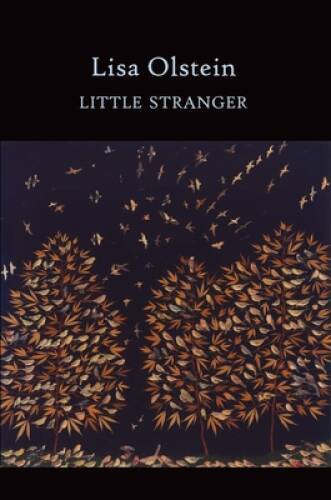 Little Stranger (Lannan Literary Selections) - Paperback By Olstein, Lisa - GOOD