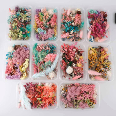 1 Box getrocknete Blumen DIY basteln Trockenblumen Epoxidharz Schmuck Sommer