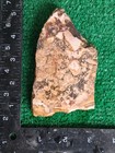 Rough Slab Dead Camel Jasper 178g. 5/16" Thick Lapidary Cabbing #B-7 — photo 5