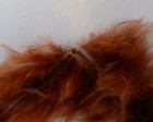 Bild 11 von 11