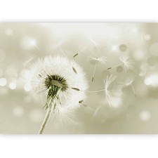PUSTEBLUME NATUR GLANZ Fototapete Vlies Tapete xxl Wandtapete für Wohnzimmer