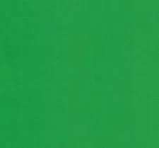 2 Package of Japanese Origami Folding Paper 6" (15cm) Light Green Color 50 Sheet