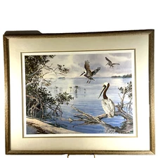 Phil CAPEN Limited Edition Lithograph Print 670 of 950 Florida Pelican Signed
