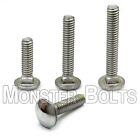 1/4-20 Stainless Steel Carriage Bolts, Grade 18-8, Available in 1/2" to 6" long