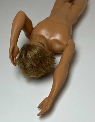 Fashionistas Ken Doll Straight Arms Blonde Rooted Hair Blue Eyes Nude Head 2009 - Picture 9 of 16