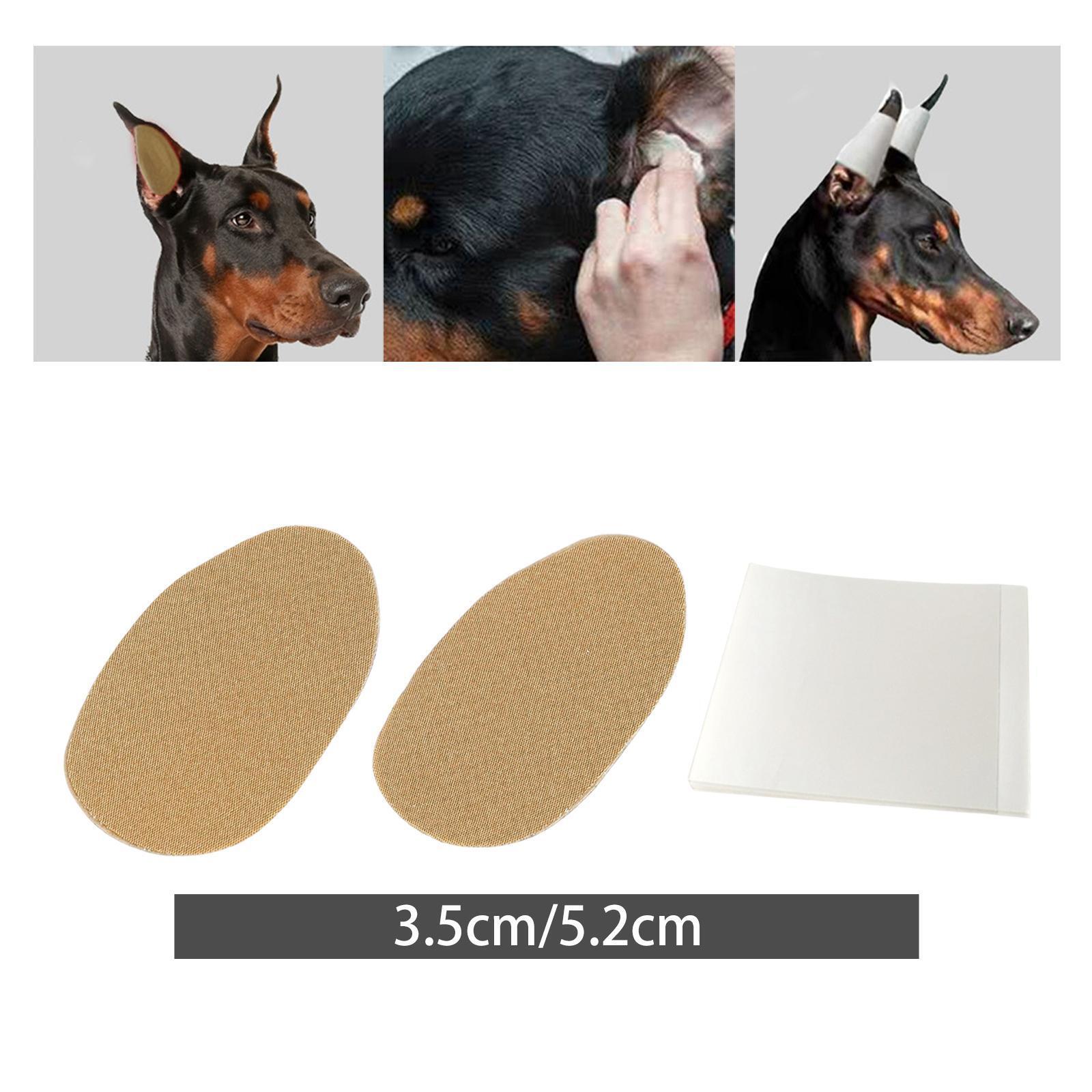 2x Hundeohren zum Aufstellen, Werkzeug, Pferdeohren zum Aufstellen,