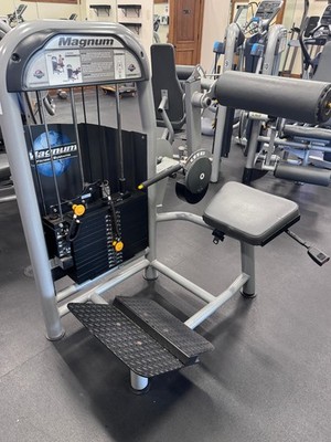 Magnum E Series Back Extension