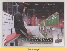 2018-19 Upper Deck UD Canvas Brendan Perlini #C3 READ vm9