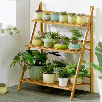 indoor plants buy online The Pet-Friendly Bundle Houseplants