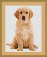Golden Retriever Dog Cross Stitch Kit