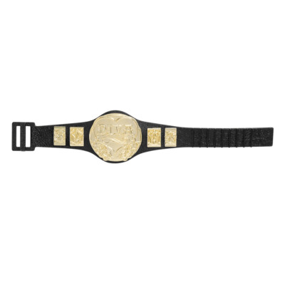 Diva's Championship Belt for WWE & AEW Wrestling Action Figures