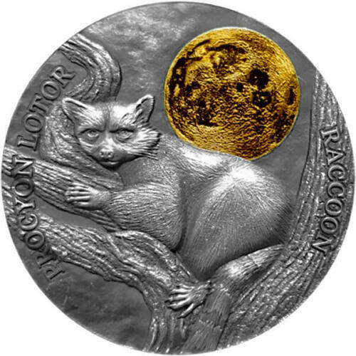 Ghana 2 Cedis 2021 Raccoon Wildlife in the Moonlight Antique finish Silver Coin - Afbeelding 1 van 4