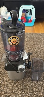 Anybear 200W Cold Press Masticating Fruit Vegetable Juicer