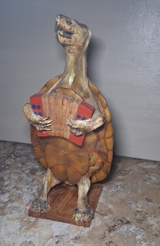 Vintage Mexican Folk Art TAXIDERMY TURTLE playing an Accordion