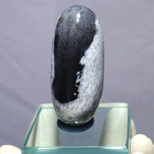 Grounded Wisdom ~ 55 g Dendrita Ópalo Shiva Lingam • Piedra curativa de equilibrio Yin Yang