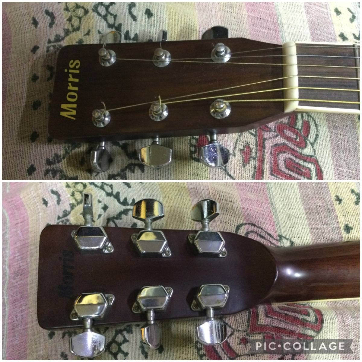 Acoustic Guitar Morris MD-505 Dreadnought Natural Spruce Top Acoustic Guitar Morris MD-505 Dreadnought Natural Spruce Top