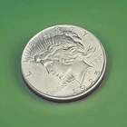 1925 P Peace Silver Dollar, Choice to Gem Uncirculated