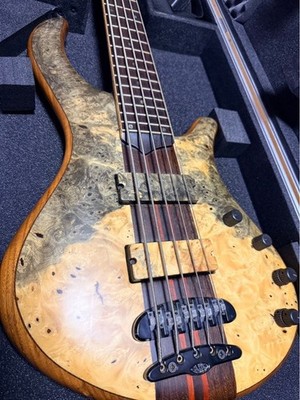 Mayones Bass Patriot Custom / Electric Bass Guitar w/ HC | eBay
