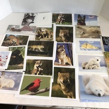 Greeting Cards Lot of 32 Blank W Envelopes Animal Nature Assorted With Dupes