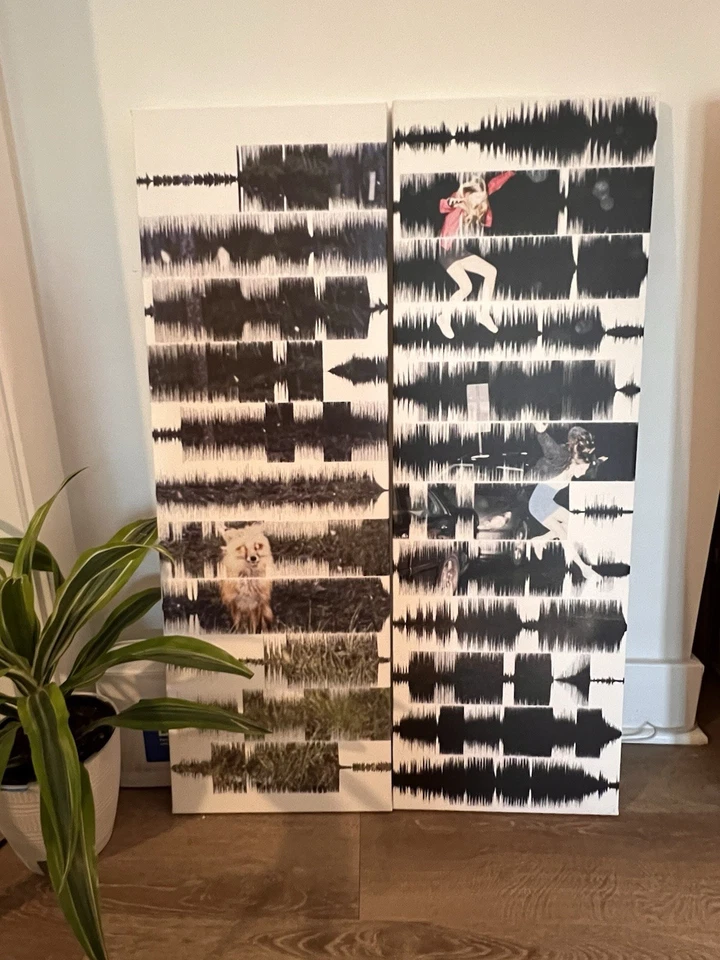 Sound Wave Canvas Prints :: by the band Brand New :: Complete Discography - Image 4 of 4