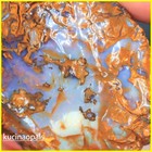 215 TCW  ROUGH AUSTRALIAN KOROIT BOULDER OPAL KucinaOpals +VIDEO