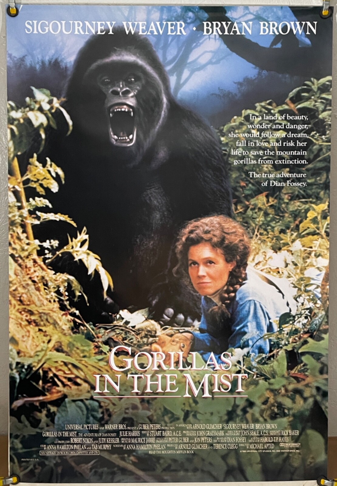 GORILLAS IN THE MIST ROLLED ORIGINAL ONE SHEET MOVIE POSTER (1988) | eBay