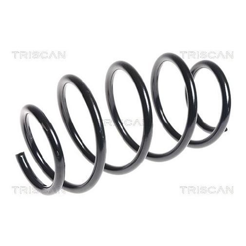 2X Fahrwerksfeder Vorne FüR Nissan Qashqai J10 NJ10 06 Bis 13 Triscan Neu K9K292-image