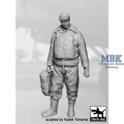 BLACK DOG BDF32056 USAAF Bomber Aircraft Navigator 1940-1945