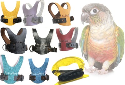 avianweb ez bird harness with leash