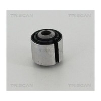 Lagerung, Lenker Triscan 8500 11897 FüR, Hinterachse, AußEn
