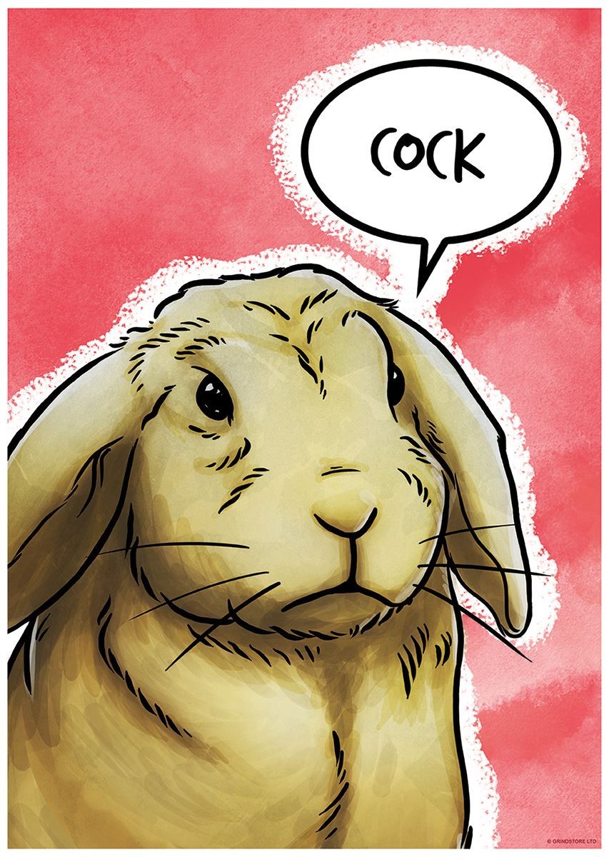 Laminated Cute But Abusive Cock Mini Poster
