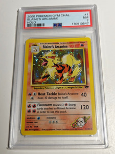 Arcanine Blaine | eBay