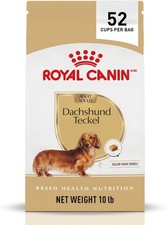 Royal Canin Breed Health Nutrition Dachshund Adult Dry Dog Food, 10 lb Bag