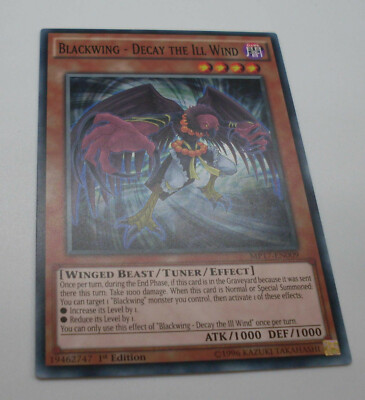 Yu-Gi-Oh Karte - Blackwing - Decay the ill Wind - Winged Beast - Yugioh Neu